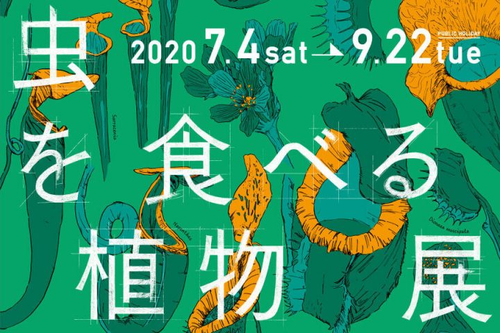 食虫植物展2020