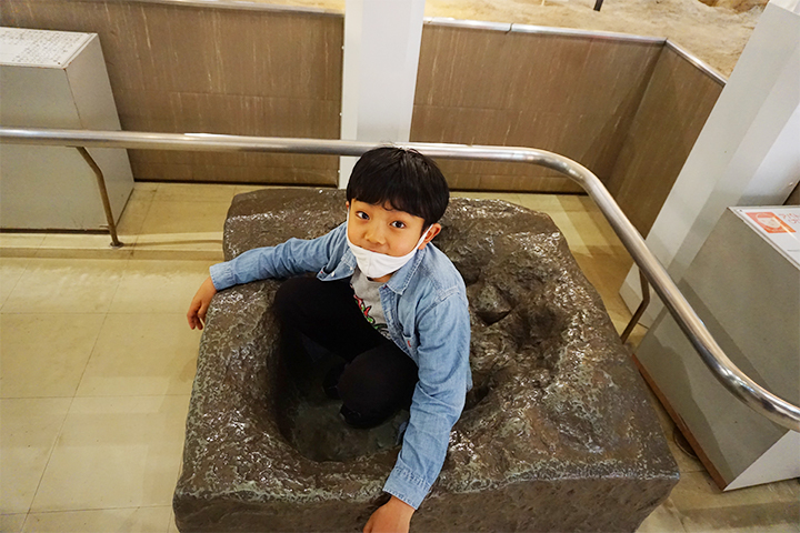 大阪市立自然史博物馆:第2展厅