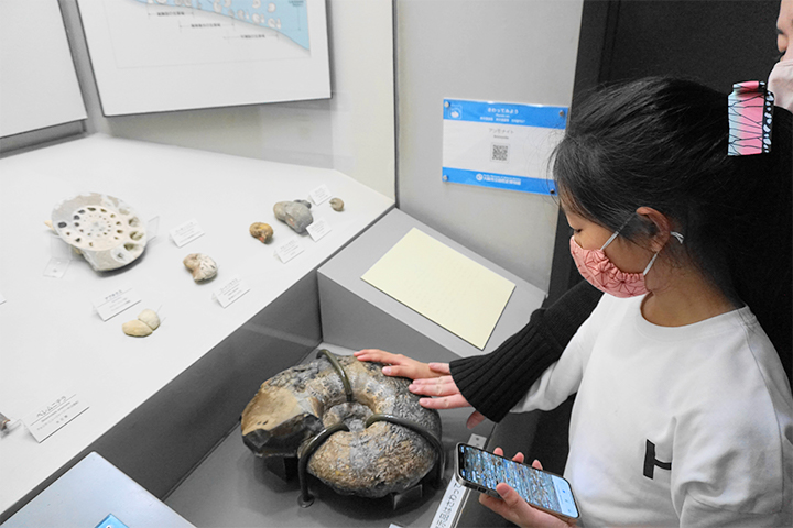 大阪市立自然史博物馆:第2展厅