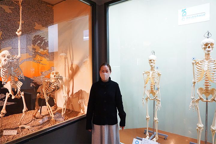 大阪市立自然史博物馆:第3展厅