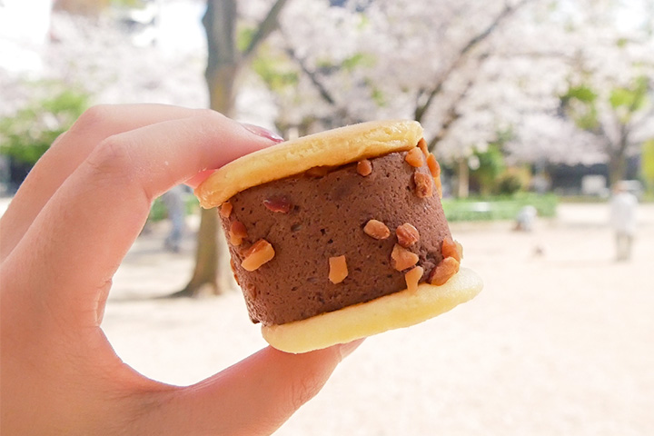 非常适合作为伴手礼的和卡龙。