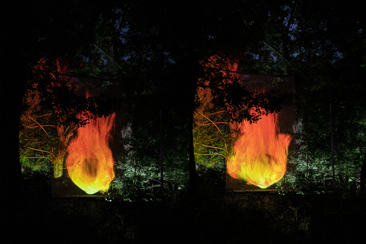 “森林里的焰粒子世界 - 二次林” ©teamLab