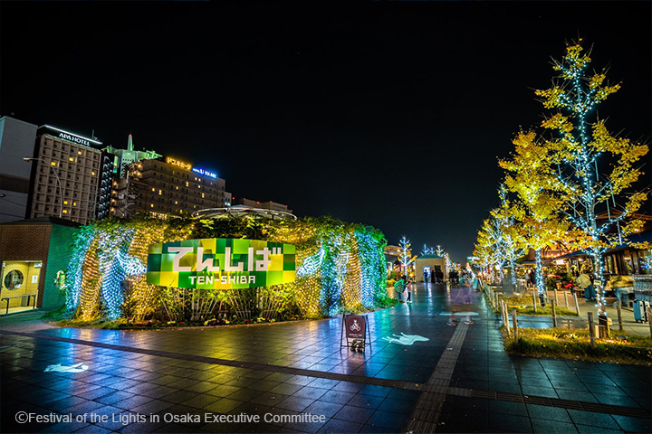 天王寺公园彩灯秀过去举办时的情景