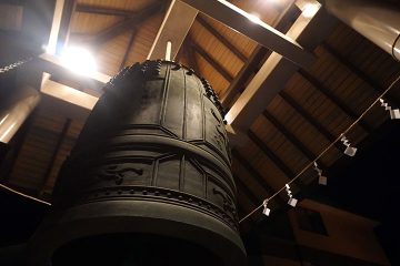 <?echo $image_alt; ?>