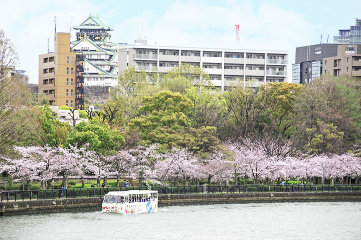 大阪Duck Tour与大阪城与樱花行道树