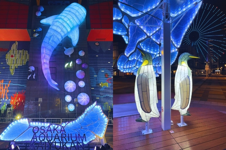 筑港湾区彩灯秀