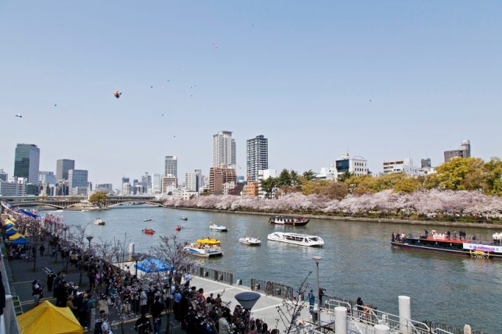 水都赏花节2026