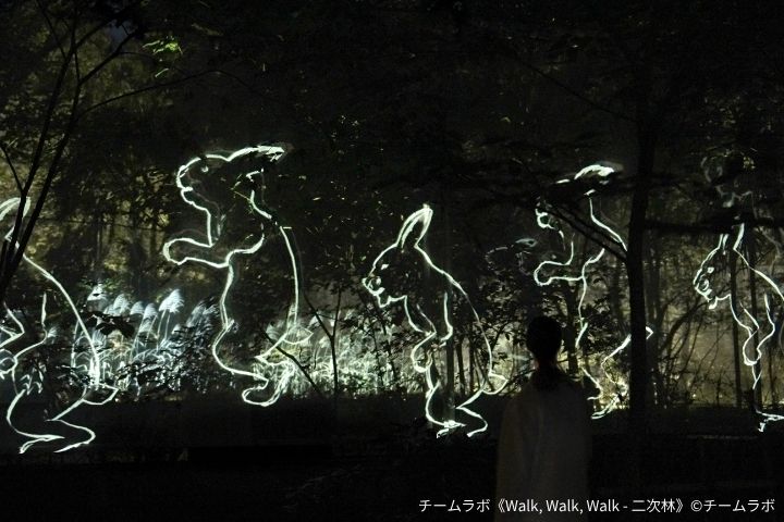 Walk，Walk，Walk-二次林