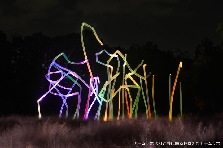与风共舞的柱群